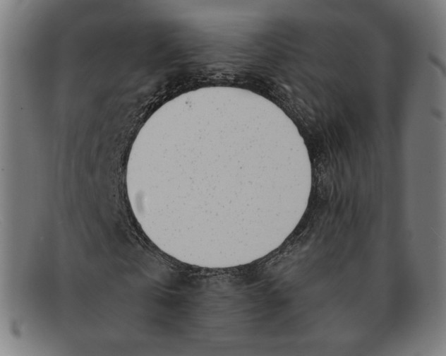 X0000091300769200708311336