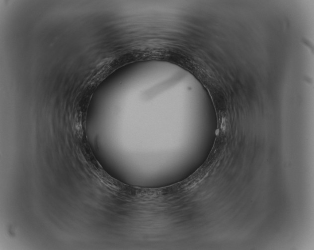 X0000091300771200708311336