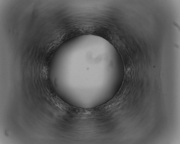 X0000091300772200708311336