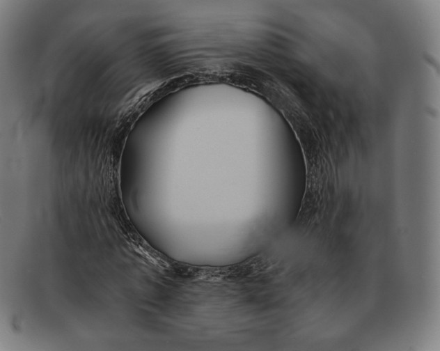 X0000091300773200708311336