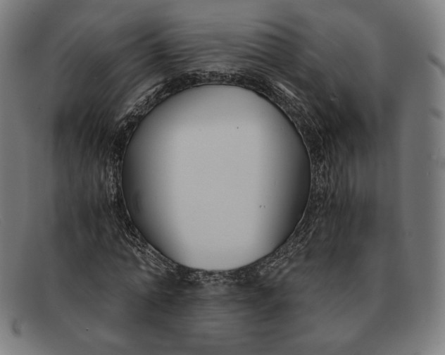 X0000091300774200708311336