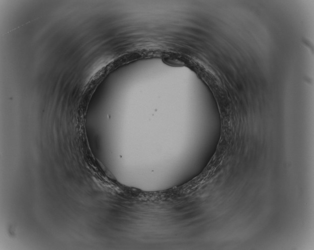 X0000091300775200708311336