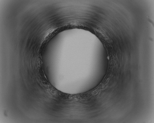 X0000091300776200708311336