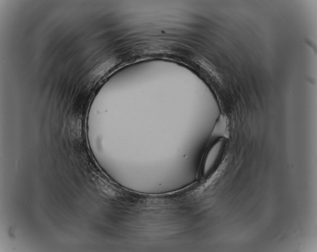 X0000091300777200708311336