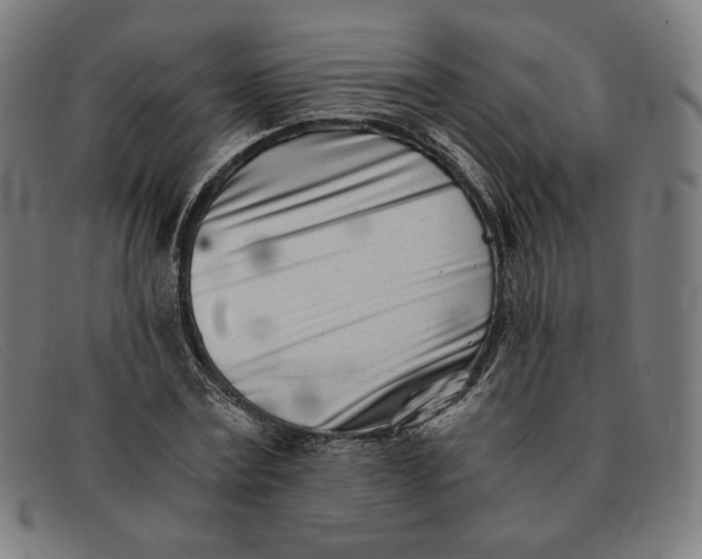 X0000091300779200708311336