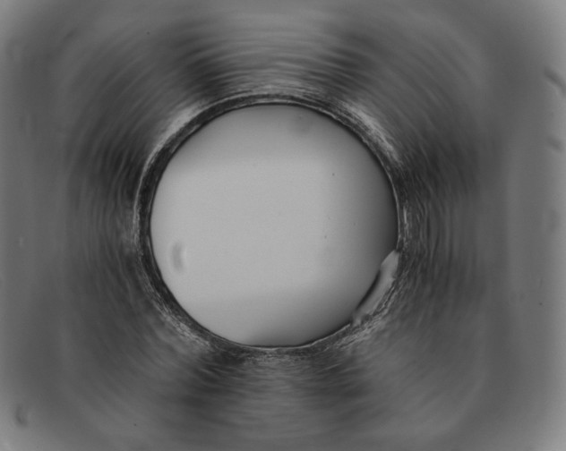 X0000091300780200708311336