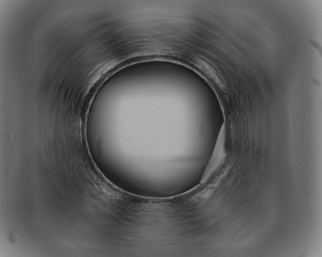 X0000091300781200708311336