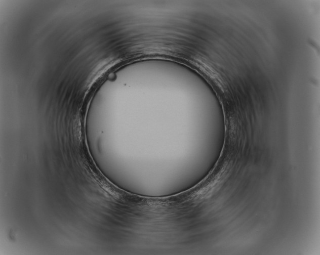 X0000091300782200708311335