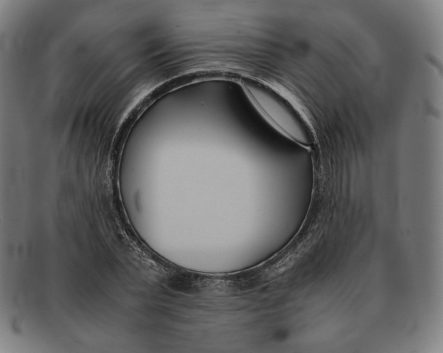 X0000091300783200708311335