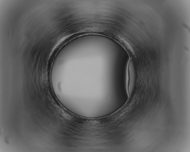 X0000091300784200708311335