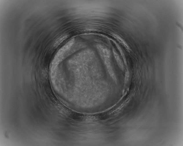 X0000091300785200708311335