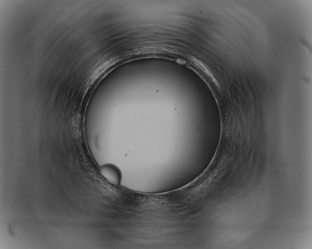 X0000091300786200708311335