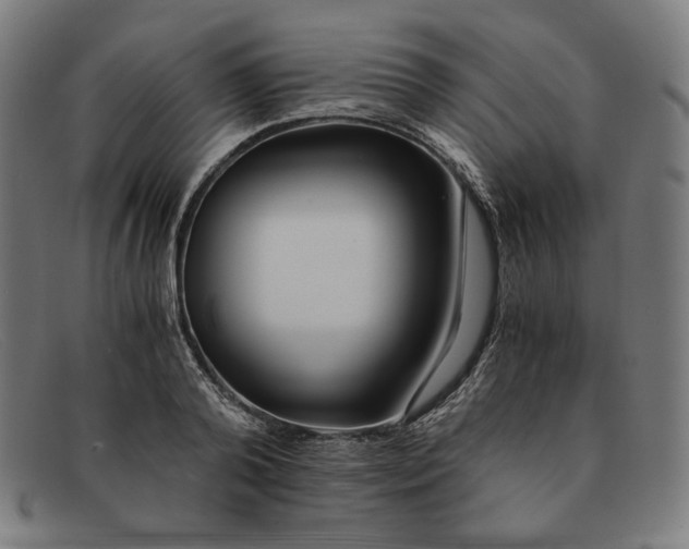 X0000091300792200708311335