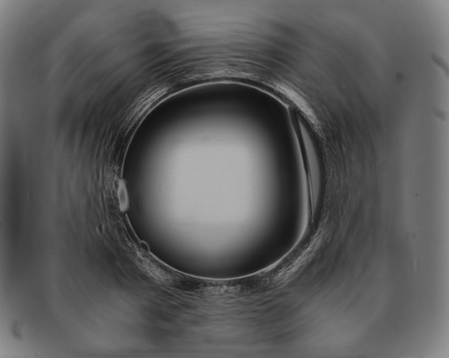 X0000091300793200708311335