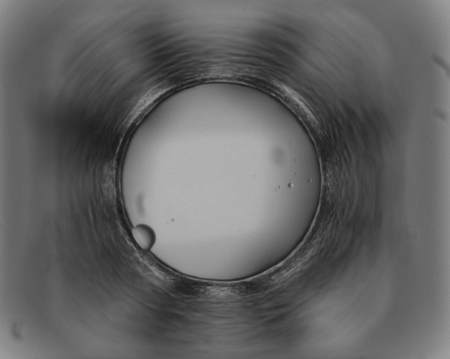 X0000091300794200708311335