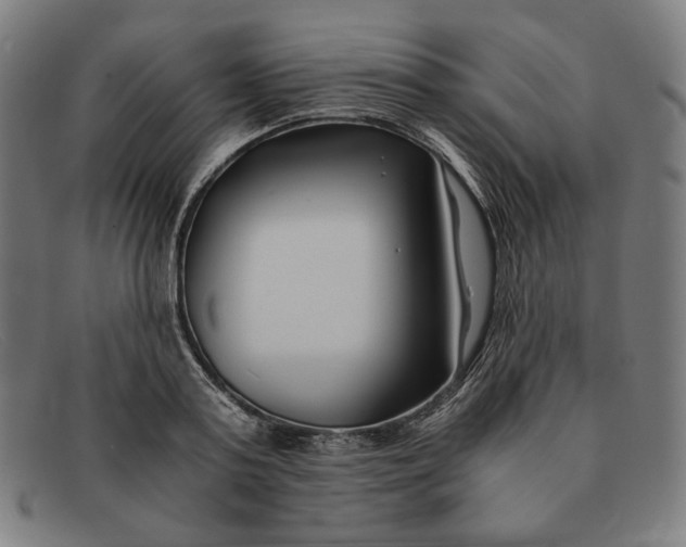 X0000091300795200708311335