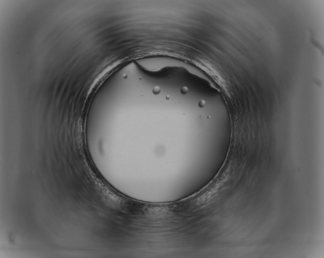 X0000091300798200708311335