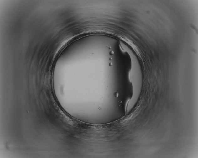 X0000091300799200708311335