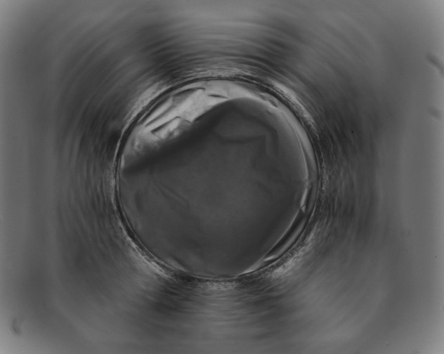 X0000091300802200708311335