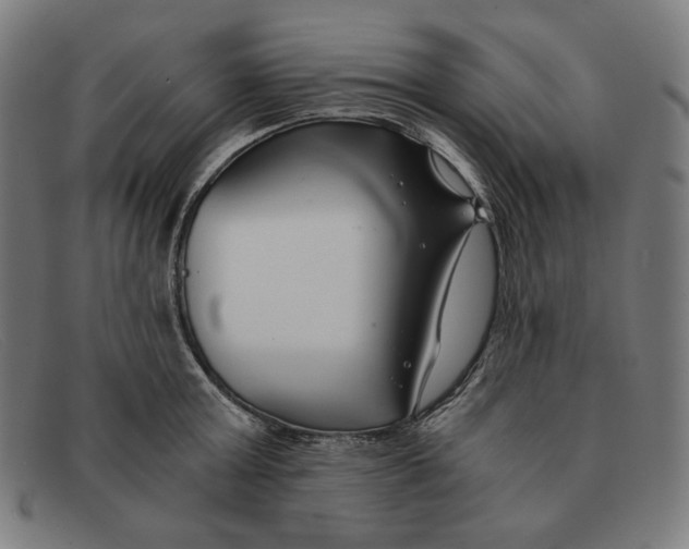 X0000091300803200708311335