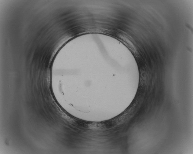 X0000091300804200708311335