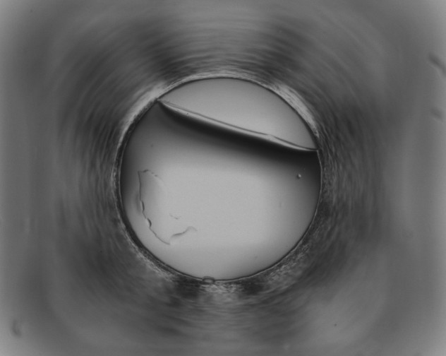 X0000091300805200708311335