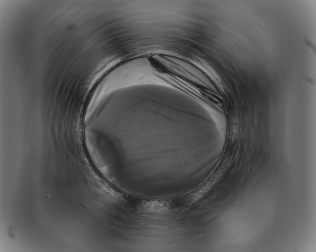 X0000091300806200708311335