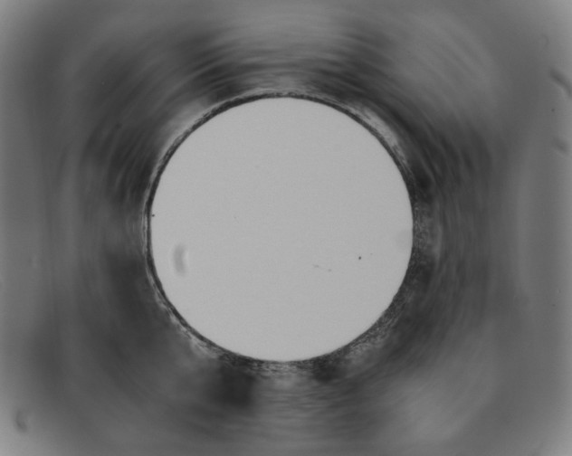 X0000091300807200708311335