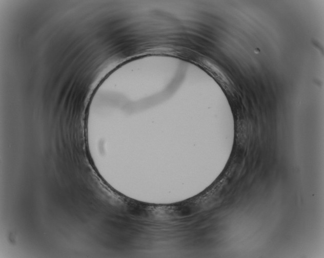 X0000091300808200708311335