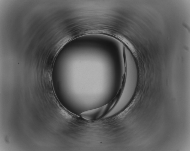 X0000091300809200708311335