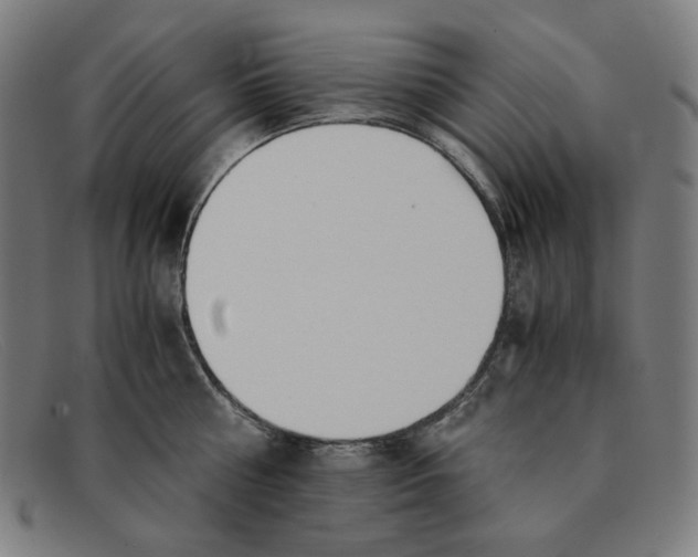 X0000091300810200708311335