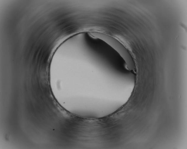 X0000091300816200708311335