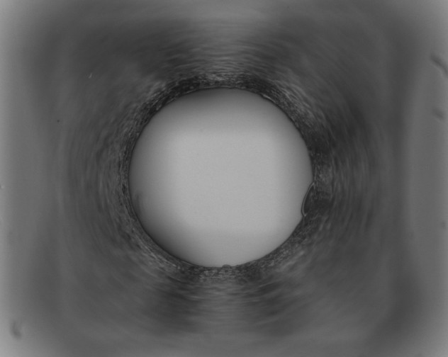 X0000091300817200708311335