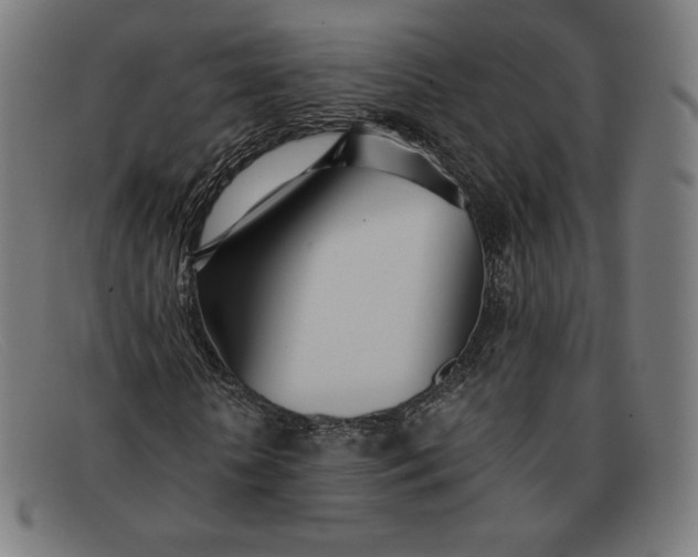 X0000091300818200708311335