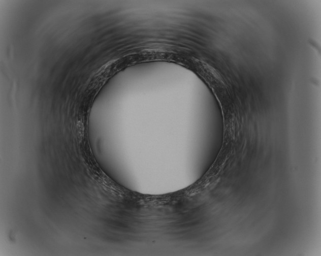 X0000091300821200708311335