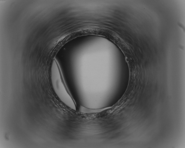 X0000091300822200708311335