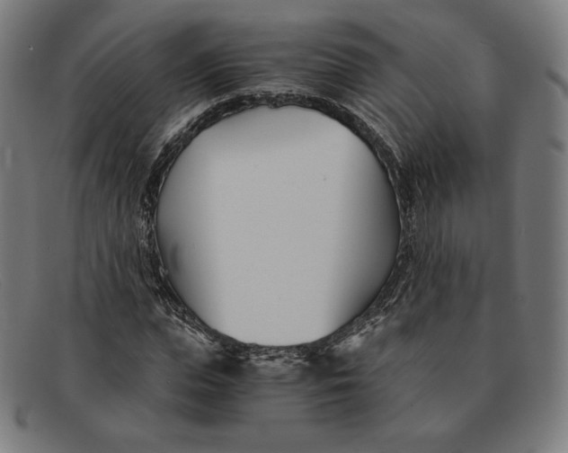 X0000091300823200708311335