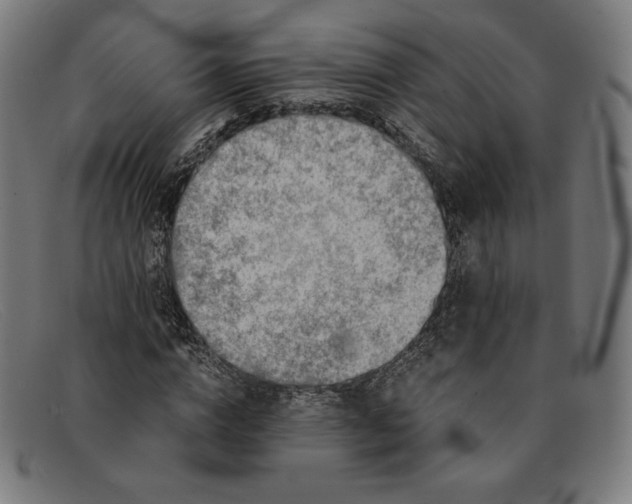 X0000091300824200708311335