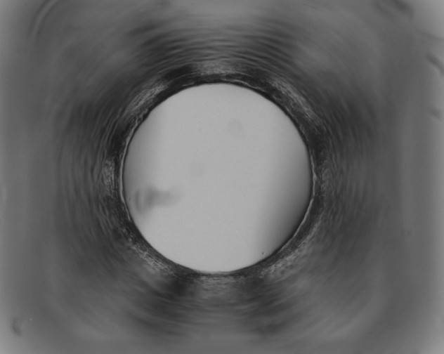 X0000091300825200708311335