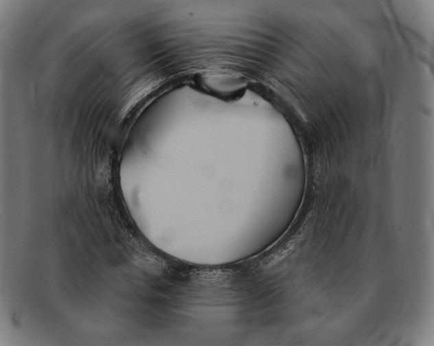 X0000091300826200708311335