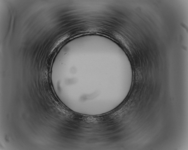 X0000091300827200708311335