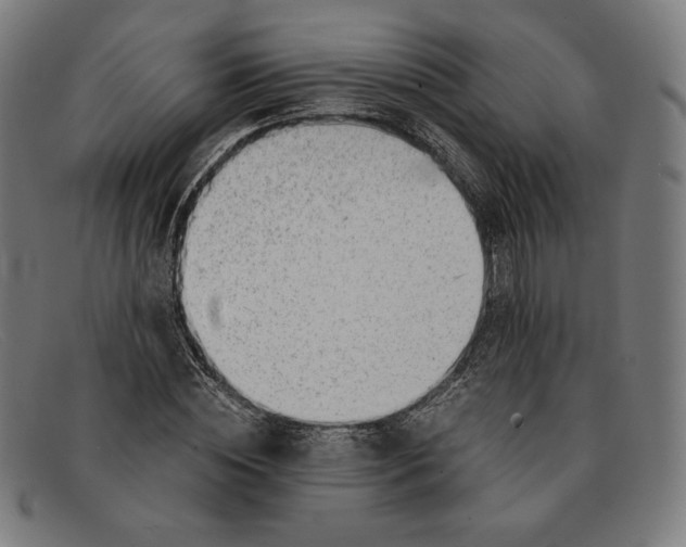 X0000091300828200708311335