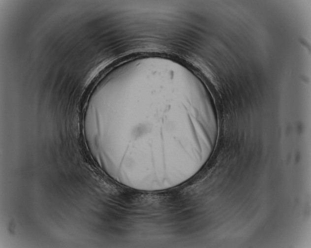 X0000091300829200708311335