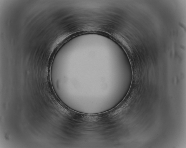 X0000091300831200708311335