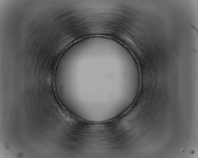 X0000091300833200708311335