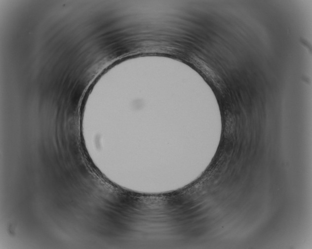 X0000091300836200708311335