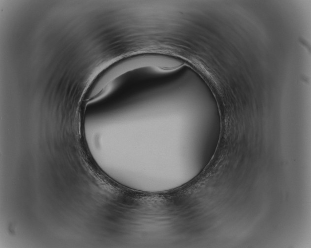 X0000091300838200708311335