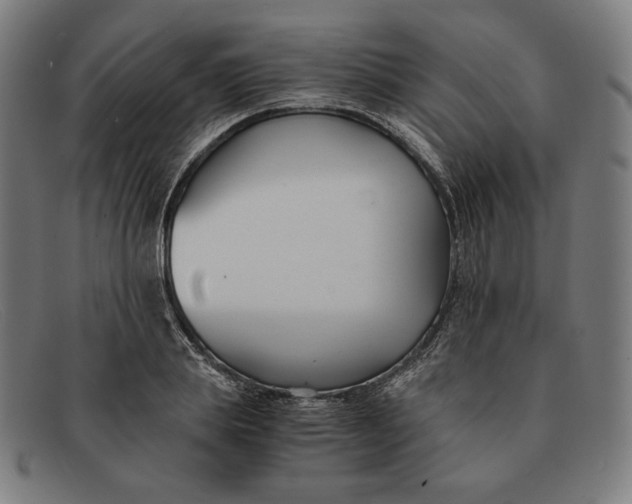 X0000091300839200708311335