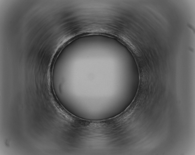 X0000091300840200708311335