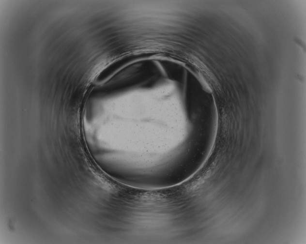 X0000091300842200708311335